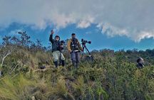 Chakana Reserve: Unique Andean Wildlife, Condors, Ecuadorian Hillstar & Bears