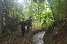 1 Day Trekking in Chiang Mai