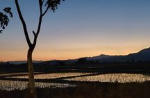1 Day Only Walk in Chiang Mai