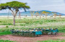 6 Day Private Camping Safari