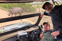 Small-Group Full-Day Safari Tour in Kruger National Park