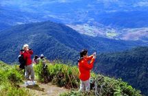 Doi Inthanon National Park with Nature Trail Trekking 1-Day Tour