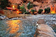 A Half-day Excursion To Ourika Valley
