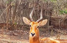  Accra Zoo, Canopy Walk and Botanical Gardens Private Tour