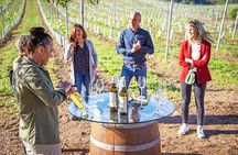 Rías Baixas Winery Tour with Albariño Tasting & Cheese Pairing