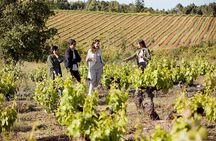 Rías Baixas Winery Tour with Albariño Tasting & Cheese Pairing