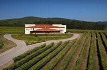 Rías Baixas Winery Tour with Albariño Tasting & Cheese Pairing