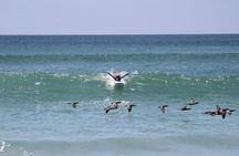 Private Surf Lesson in Punta Mita