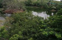  Accra Zoo, Canopy Walk and Botanical Gardens Private Tour