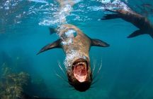 Full Day Tour 360 San Cristobal - Best of the Island