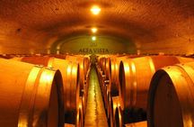 Mendoza Wine Tour with Lunch