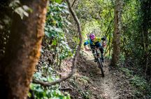 SINGLETRACK MOUNTAIN BIKE - Guided through the jungle
