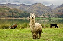 Wonderful Cusco 5-Day Tour with Entrance to Machupicchu