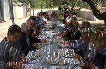 Winery Tour, Tasting and cooking with the Winemaker in Rhodes