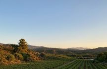 Winery Tour, Tasting and cooking with the Winemaker in Rhodes