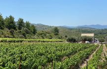 Winery Tour, Tasting and cooking with the Winemaker in Rhodes