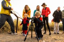 Afternoon Private Grand Teton Tour with Picnic Dinner