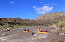 Half-Day Rafting Adventure on the Mendoza River
