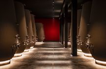 Valpolicella Wine Tasting Experience & Light Lunch