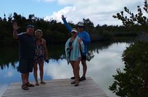 Blue hole, drift snorkeling, turtles Celebration Key is welcome 