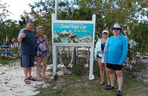 Blue hole, drift snorkeling, turtles Celebration Key is welcome 