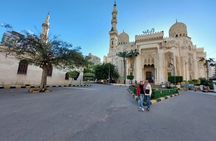 10-private tour Alexandria from Cairo/Giza hotels