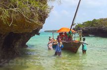 Safari Blue Zanzibar & Menai Bay Fascinating day Sea Trip With Lunch - Zanzibar