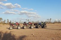 Sunset Quad Biking in the Palm Grove of Marrakech 