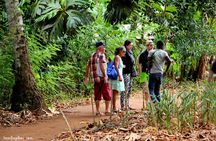 Spice Farm Discovery Tour with Lunch and Transfers - Zanzibar