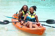 Excursión de un día a Islabela en barco desde Cartagena