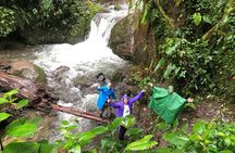 Mindo Cloud Forest: Hummingbirds, Birding & Waterfall Tour