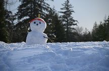 Ski & Snow Tour to Bakuriani from Kutaisi with Borjomi Stop