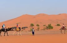  4 Days In Private To The Desert From Fes Finishing In Marrakech