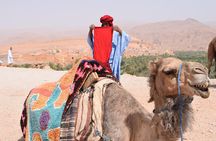  4 Days In Private To The Desert From Fes Finishing In Marrakech