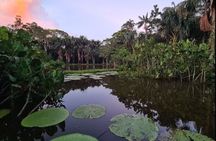 Escape to the Amazon 3-Day Tour