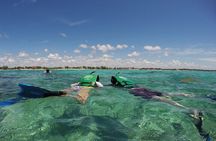 Snorkeling with Caribbean Fish