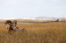 Private 6 Hours Badlands National Park E-Bike Activity