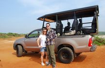 Half Day Safari Guided Tour