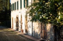 Wine and food tasting in an organic family winery