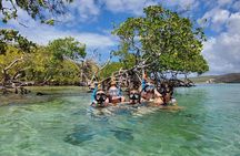 Private Puerto Rico's Bucket List 3 Day Package with hotel pickup