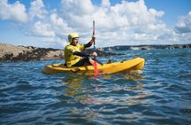 Sea Kayak Lesson & Tour in Newquay