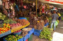 Discover Dominican life
