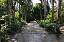 Discover Dominican life