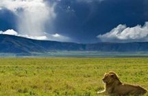 4-Day Serengeti Safari Expedition