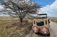 6 Days Budget Tour in Tarangire, Serengeti ,Ngorongoro and Manyara 