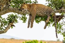 2 days Tour Tarangire & Ngorongoro 