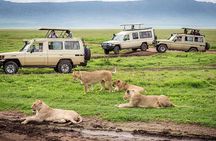 2 days Tour Tarangire & Ngorongoro 