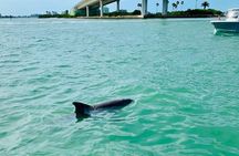 Clearwater Beach Private Pontoon Boat Tour for six 