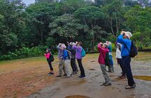 MINDO CLOUD FOREST: Nature & Adventure - Flexible Private Day Tour