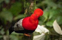 MINDO CLOUD FOREST: Nature & Adventure - Flexible Private Day Tour